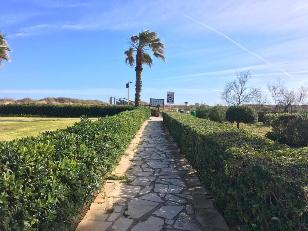 Apartamento A 100 Metros De La Playa Con Grande Terraza Y Vistas Al Mar Daimus Zewnętrze zdjęcie