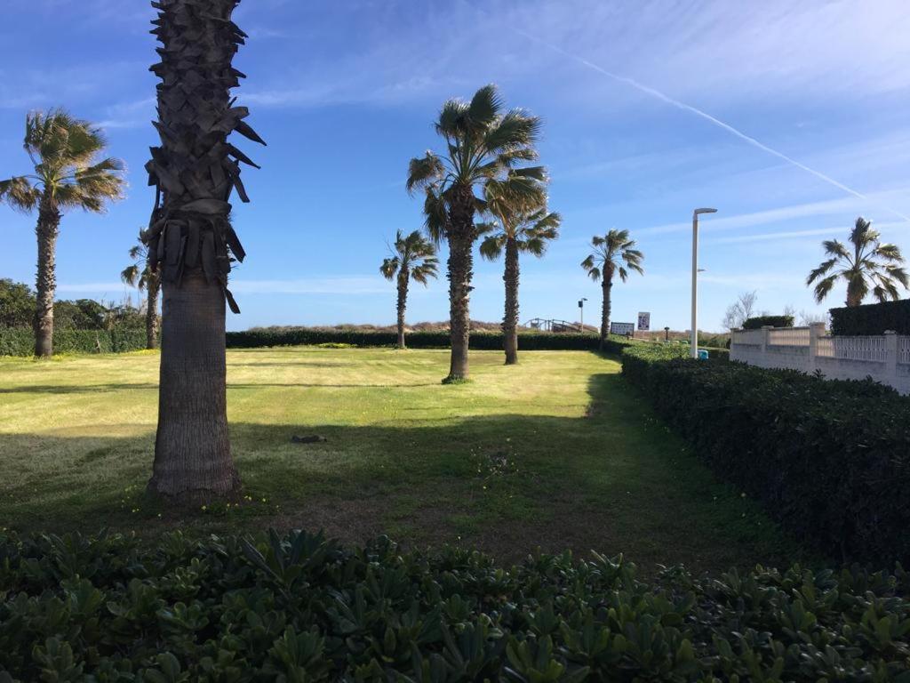 Apartamento A 100 Metros De La Playa Con Grande Terraza Y Vistas Al Mar Daimus Zewnętrze zdjęcie
